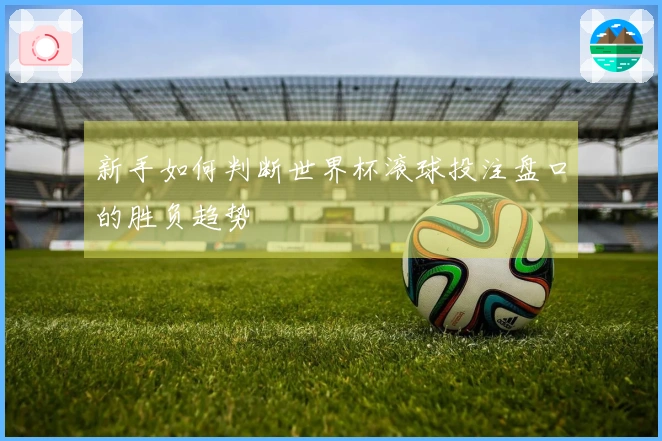新手如何判断世界杯滚球投注盘口的胜负趋势