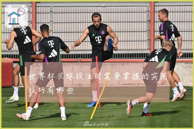 世界杯买球投注时需要掌握的实用技巧有哪些