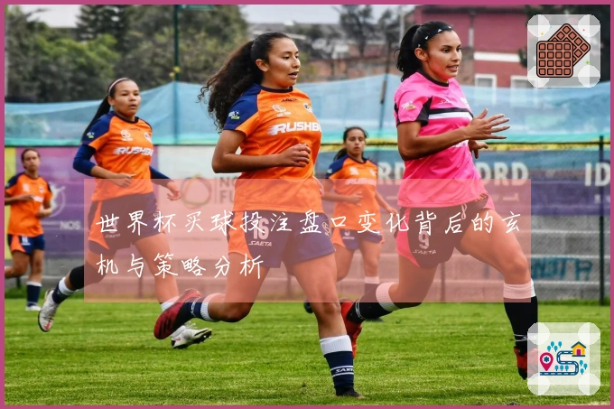 世界杯买球投注盘口变化背后的玄机与策略分析