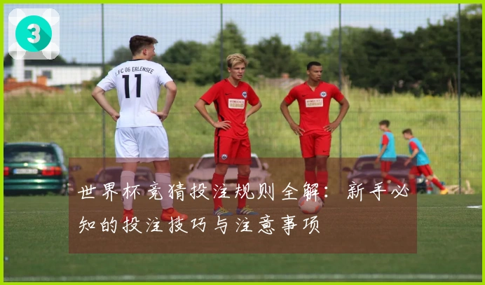 世界杯竞猜投注规则全解：新手必知的投注技巧与注意事项