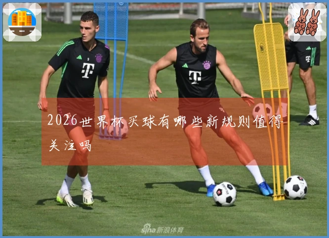 2026世界杯买球有哪些新规则值得关注吗