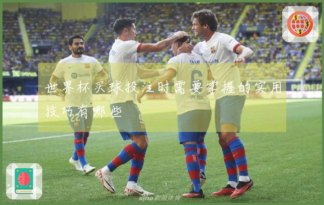 世界杯买球投注时需要掌握的实用技巧有哪些