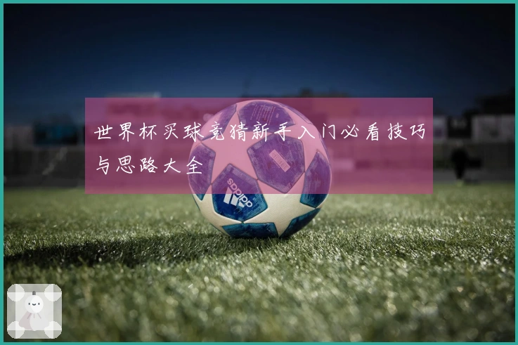 世界杯买球竞猜新手入门必看技巧与思路大全