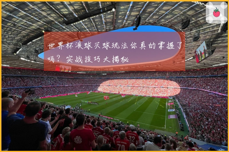 世界杯滚球买球玩法你真的掌握了吗？实战技巧大揭秘